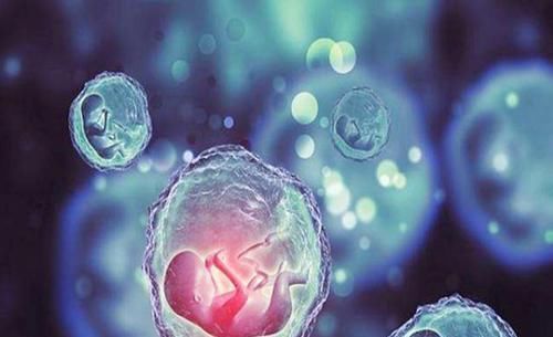 检查|这三类孕妈属于“唐氏高危”人群,三种孕检方式可帮妈妈避风险