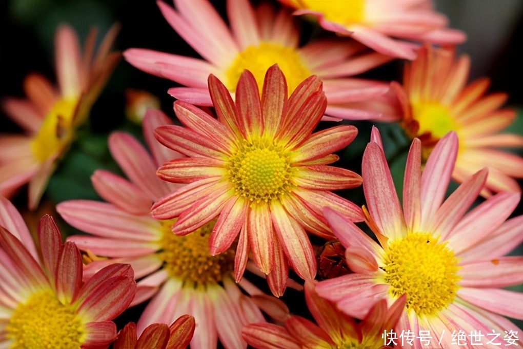 化为|《思考的整理学》:如何留住灵感,把知识碎片化为己用