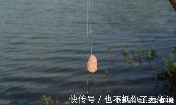 手竿钓鲢鳙的4大秘诀,常用这些老招数,鲢鳙就是最好钓的鱼