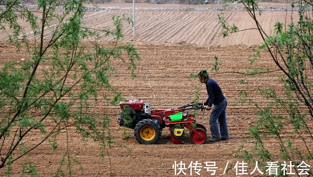 燕舞莺歌&三续一春（诗六首）