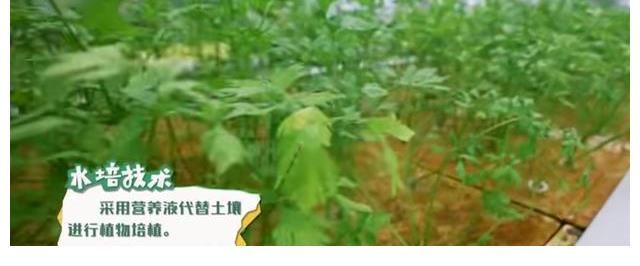 《黄河2》白鹿“白录”了，调侃人生是起落落落，于洋成全队笑点