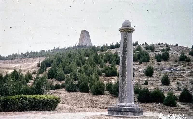 举世闻名|举世闻名的乾陵