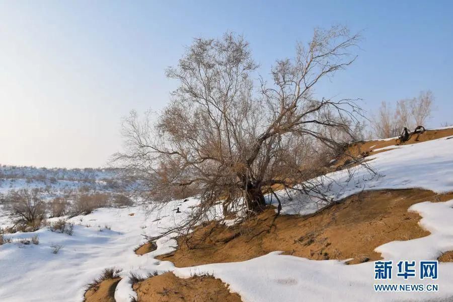 #打卡昌吉 沙漠雪景唯美壮观