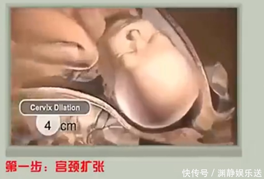 分娩|产妇分娩时胎儿在干嘛看完眼眶湿润了，真的不止你一个人在努力