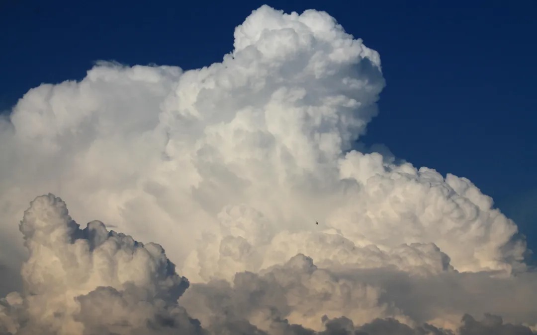 唐·崔护$五千年来,最触动心灵的绝美诗词,值得一读再读!