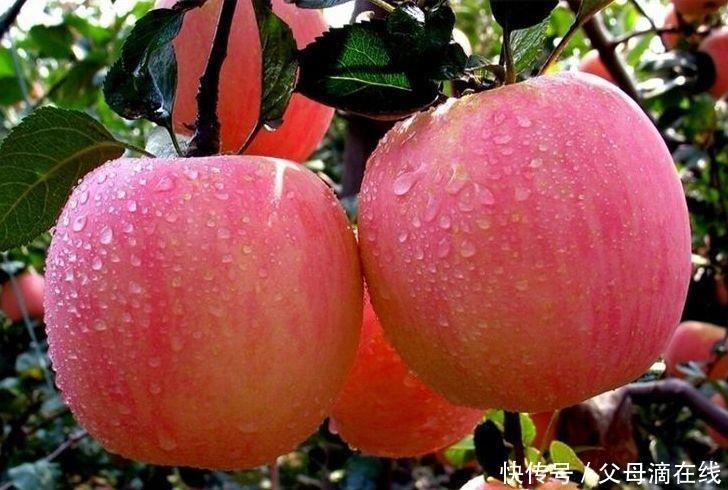 衰老|很有营养的3种食物，美白护肤、延缓衰老，好处多多