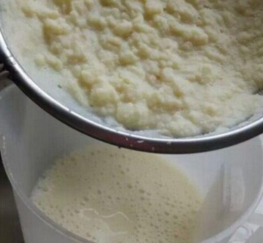 垃圾|别再买花肥了,几种垃圾用来养花,花儿疯长不停,省下一大笔钱