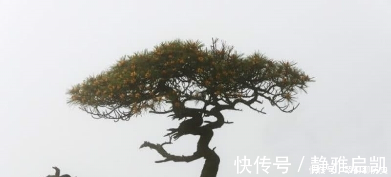 唐诗@一首充满哲理的唐诗,通篇短短的28个字,读来却是令人赞叹!