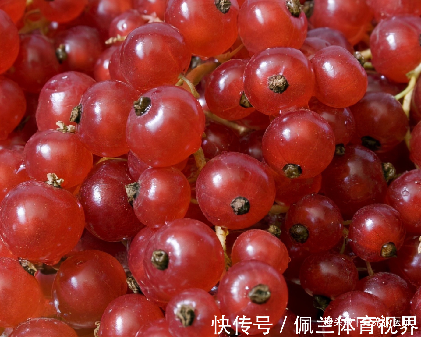 张医师|女性再没钱，3种食物不要省，润肤养颜，防皱纹，好处多多