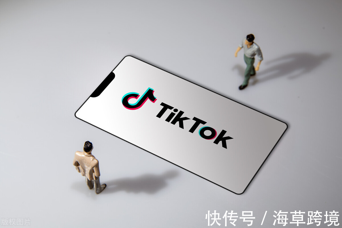 跨境|「海草跨境」抢占TikTok流量阵地，构建跨境出口新路径