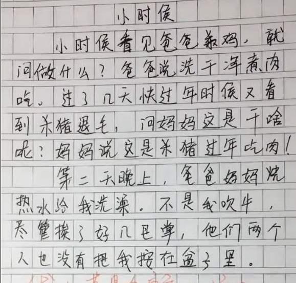 小学生作为《扫雷》火了，一个字毁了一篇文章，网友笑到肚子疼