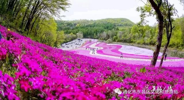 「最是一年春好处」五一长假·畅游东昌:旅游线路推荐