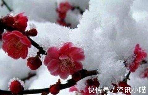 义勇军进行曲@七律 春约(外三首)