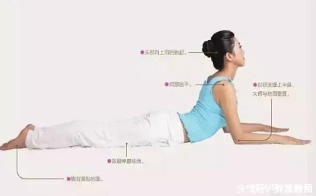 上半身|睡前这样趴一趴，等于跑步1小时，每天一次，搞定多种慢性病