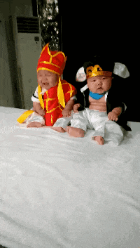 |搞笑gif:一场神奇的车祸,使这位司机红了