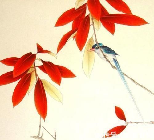 谐音梗|“最尴尬”的三个姓氏,一个全国只有17人,两个说出让人脸红