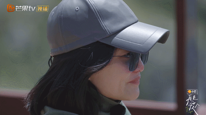 紅櫻桃|離婚真人秀《再見愛人》一夜爆火：明星離婚的真相，藏不住了