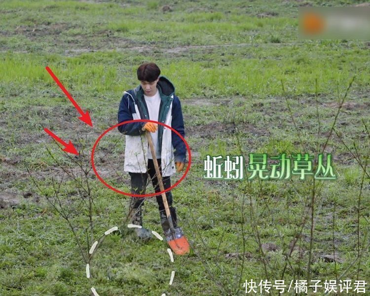 《向往5》节目录制有多真实，看到嘉宾的衣服，是否造假很明了