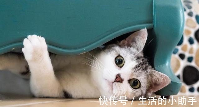 清单|锚定效应打工人，尾款人，你们知道双十一的真相吗！