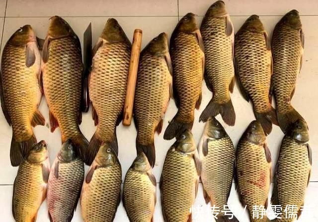 野钓千万别着急下竿，先做好这几个步骤，才能保证渔获告别空军