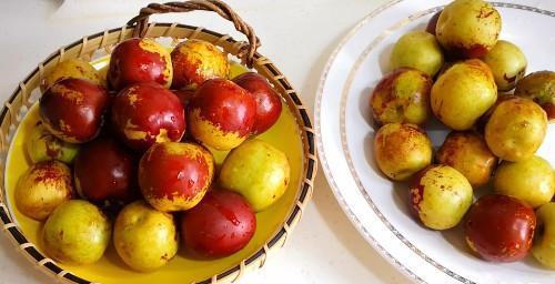 大枣|出伏啦！老妈叮嘱我：再节约也要多吃4果，喝3汤，谨防秋老虎伤人