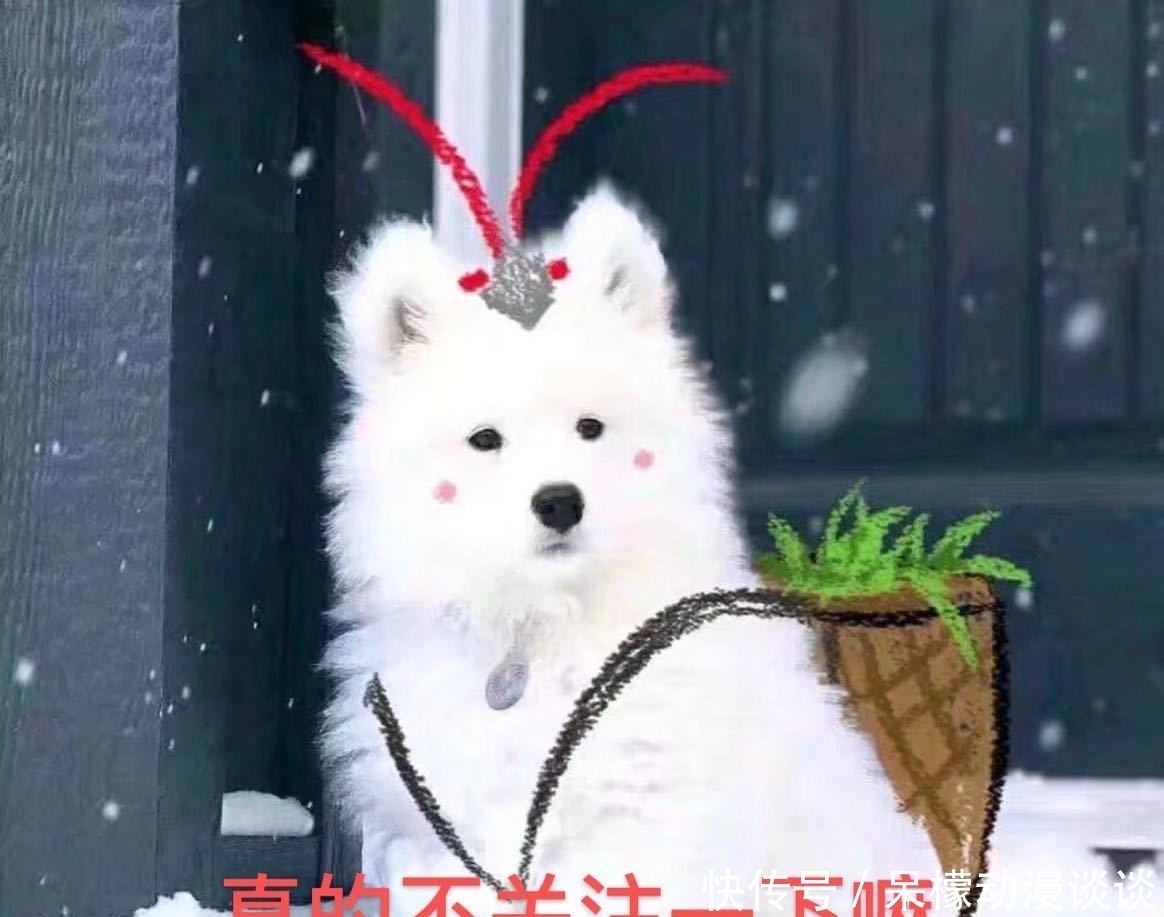 杨紫|张艺兴杨紫不熟?《向往的生活》中三次对话告诉我们:没那么简单