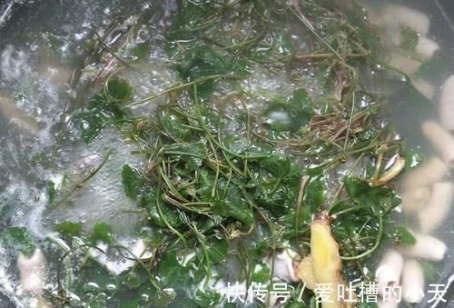 菜田里很常见,但请别当杂草除掉,价值十分的高,用来炖肉是一绝