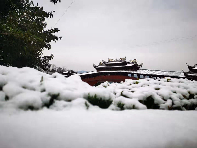 泰顺|温州泰顺迎来降雪 银装素裹好风光