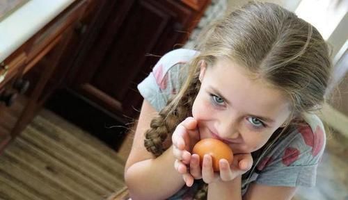 鸡蛋营养大比拼,本鸡蛋、乌鸡蛋、红皮蛋……最佳选择其实是这种