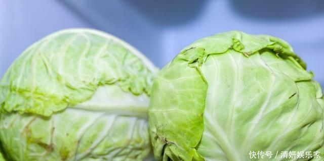 长寿老人常吃的三种食物,补充营养、有益健康,提高免疫力!