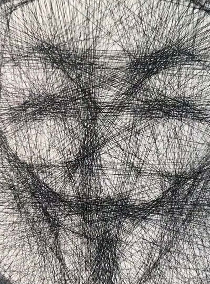 幅画作$美术生画纸上打满直线,还以为在“瞎画”,成画让网友惊艳