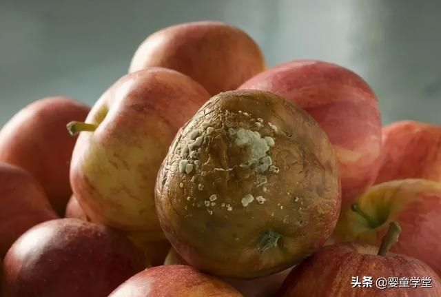 水果|为何儿童患白血病越来越多?专家:家长尽量别给孩子吃这3种水果