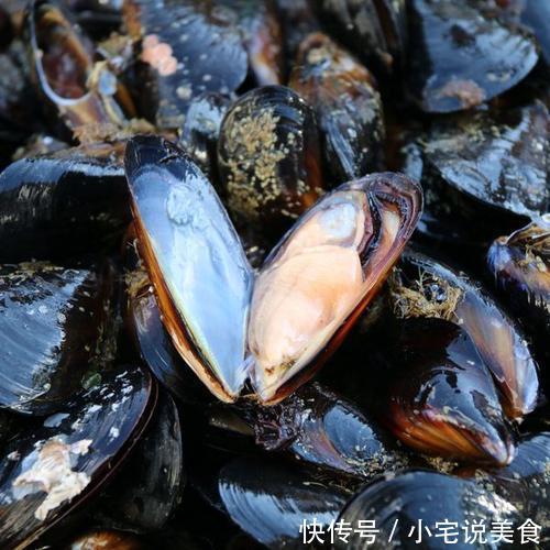 听名字误以为是蔬菜，被称“海中鸡蛋”，比鱼虾营养，比生蚝鲜美