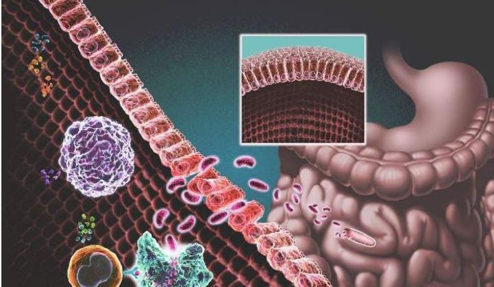 左下腹长期隐痛爱放屁