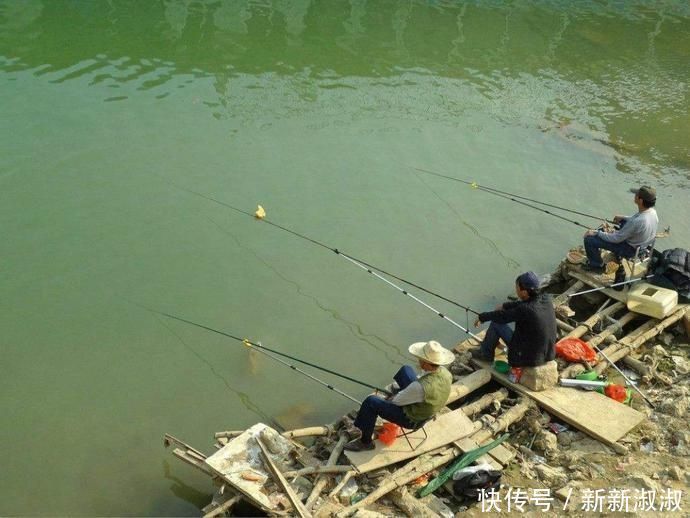 夏天钓草鱼就选这几个地儿，不上鱼就奇怪了