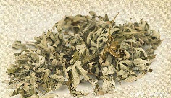 救命草|田间地头没人要的野草，却是腰间盘突出的“救命草”，三天起效