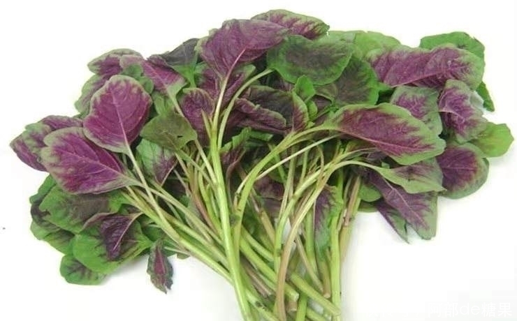 消炎杀菌|女性常吃3种蔬果,消炎杀菌、补铁补血、保护卵巢、告别妇科病