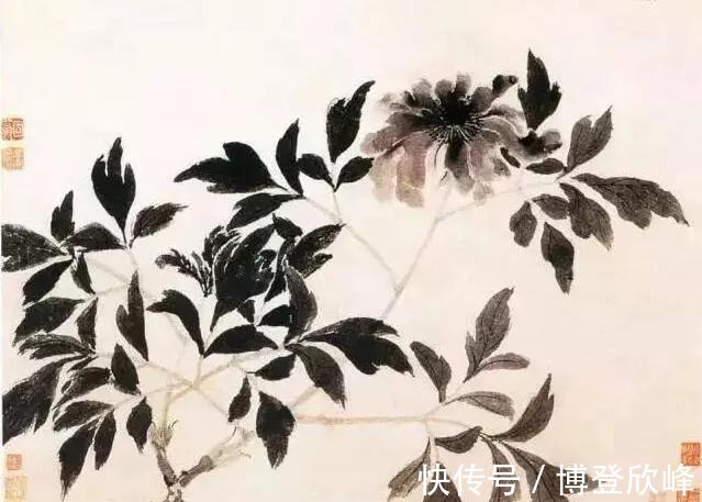 爱莲说|牡丹为什么被奉为“国花”,它有哪些与众不同的优势