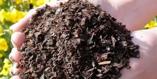 养花旧土先别扔，掺上3种材料，疏松肥沃，养啥花都王