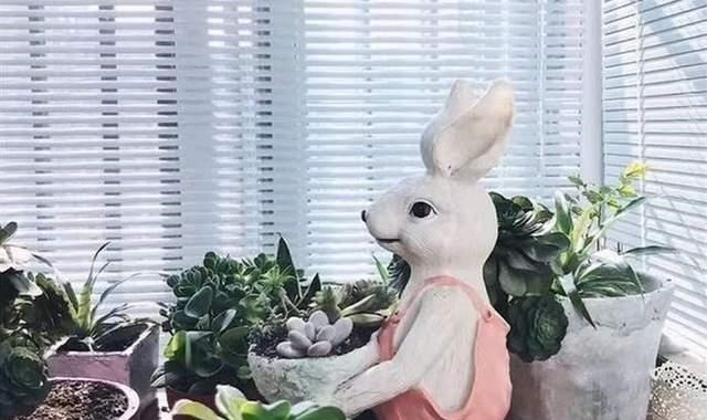 鱼池|养花高手不买一楼房子,庭院生活,一个阳台就能实现,羡慕