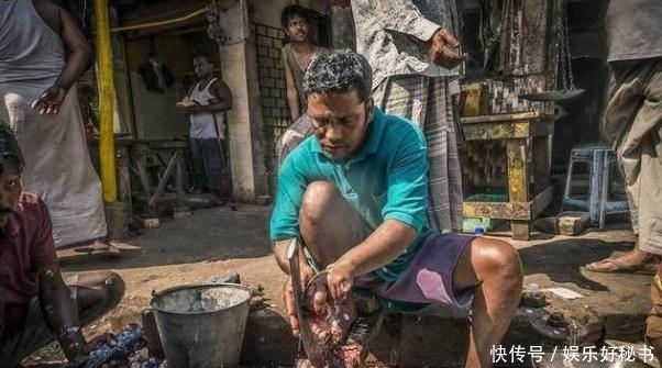 杀生|印度人卖鱼讲究不杀生,鱼全是自己往刀上撞的,不信来问问这鱼