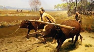 改革|为何都说王莽疑似穿越?除了青铜卡尺,看看他干的一件事就明白了