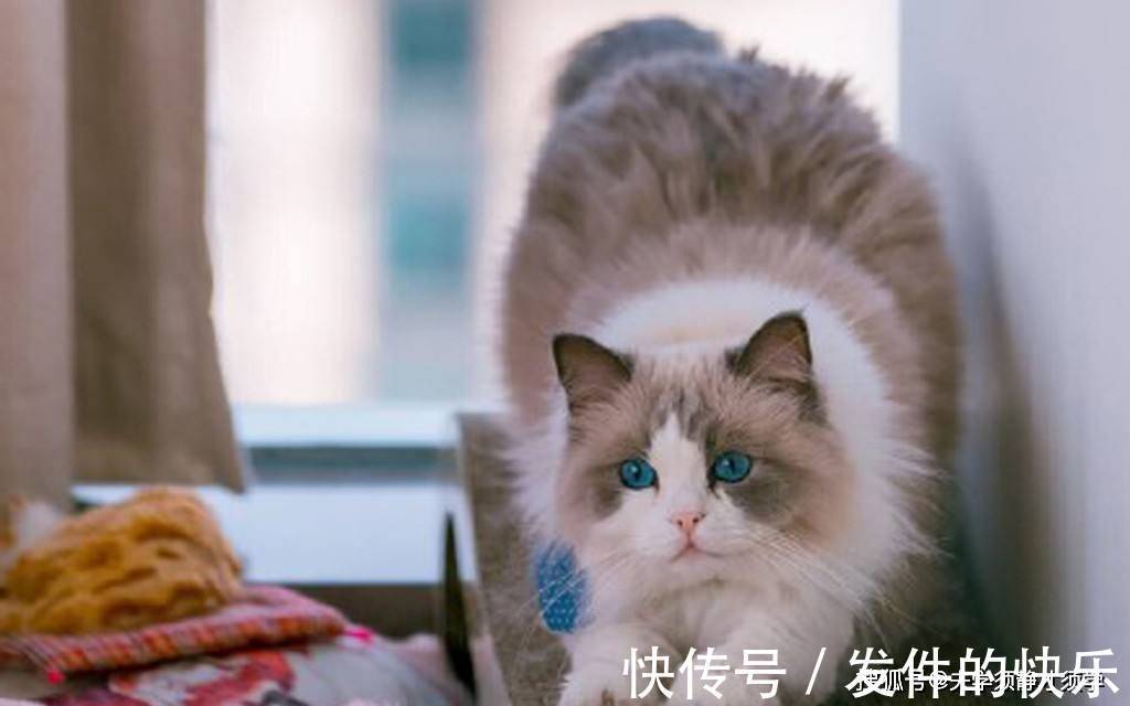 |幽默笑话:我闺蜜平时十指不沾阳春水,今天却看到她手上裹着纱布!