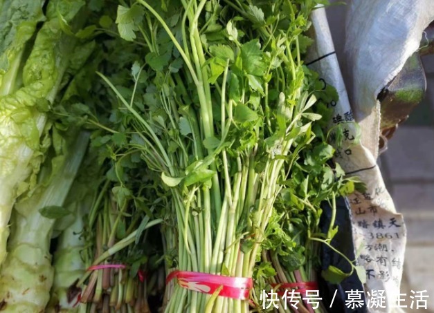 吃法|68种野菜图片,教你认识不同的野菜和吃法,你想要的野菜这里都有