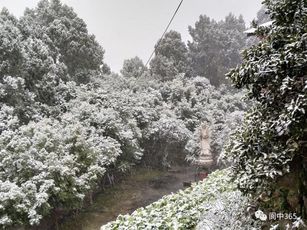 妙高镇金城山雪景图