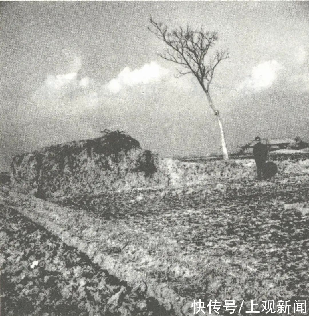 任仁|青浦文物·任仁发家族墓