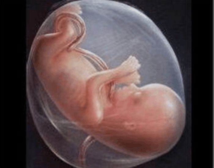 怀孕|平躺和侧躺哪个更好呢早中期孕妈不用太担心，中晚期要注意方式