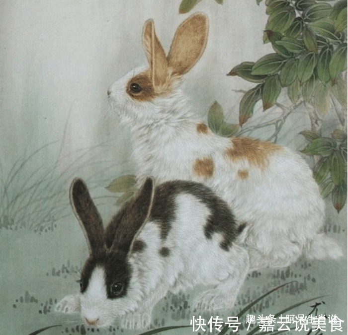 生肖兔|年过半百指望谁揭露属兔人的两个贵人，遇到了一定要珍惜！