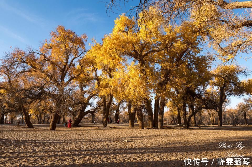 电影《英雄》取景地--内蒙额济纳，记录炫丽迷人的七彩丹霞地貌