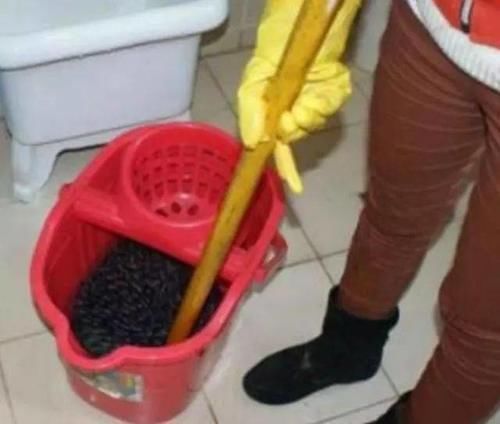 打扫|拖把用久了,不仅脏还有异味只需用“它”泡一泡,洗完像新的